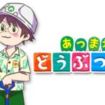 🌴【あつ森/동숲】섬꾸 Day２・島づくりDay２【NIJISANJI】