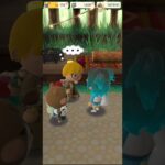 M_250722-C #AnimalCrossing #AnimalCrossingNewHorizons #ポケ森 #PocketCamp #acnh #ゲーム #あつ森 #Games #動物森友會