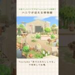 【あつ森】島の奥の博物館｜Museum at the back of the island【島クリエイター】#shorts #あつ森 #島クリエイト #acnh #animalcrossing