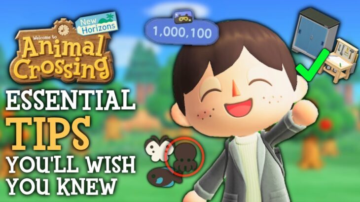 Must Know Tips I Wish I Knew Sooner – Animal Crossing?New Horizons