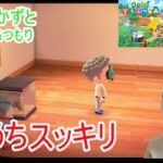 ちょっとだけあつ森　８歳お家スッキリ博物館に寄贈する　あつまれどうぶつの森Nintendo Switch きんぐかずと
