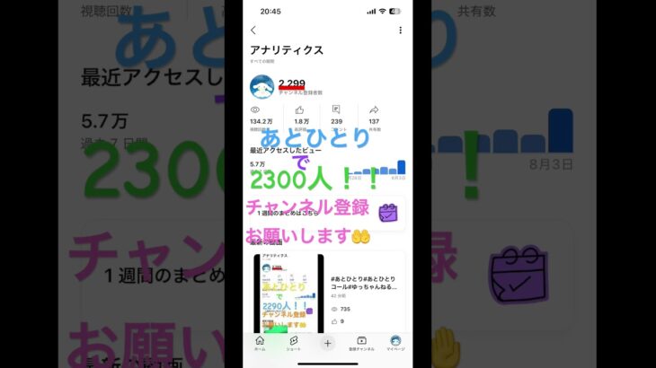 #あとひとり#あとひとりコール#ゆっちゃんねる#シナモン推し#シナモン#あつ森#あつまれどうぶつの森#任天堂#ニンテンドー#Nintendo#switch#スイッチ#ゲーム#ゲーセン#サンリオ