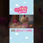 【あつ森アニメ】温泉を満喫するパンダ家族 #Shorts #あつ森