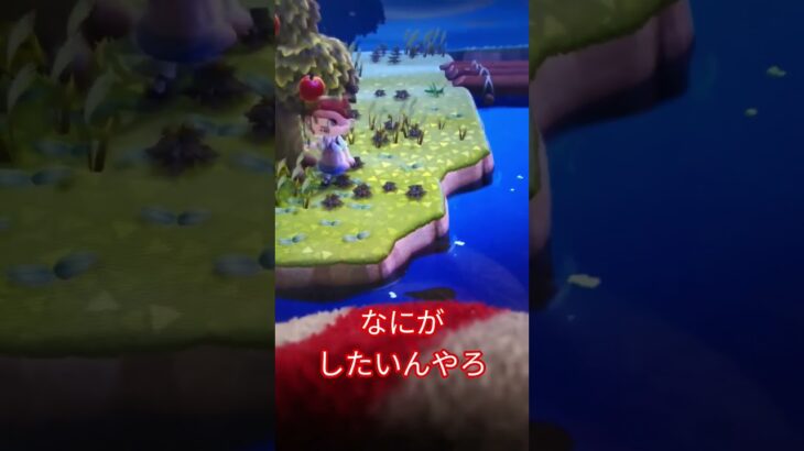 なぞ動画　#あつ森 　#謎#ゲーム　#Switch