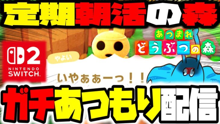 【Switch2あつもり】おはようございマンモスおはよう雑談の森Part12レッツ島クリエイトあつまれどうぶつの森島クリエイトガチ雑談配信【きむきむきむきJP】