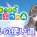 【#あつまれどうぶつの森】のほほんとテキトーに遊ぶ　#あつ森　#朝活　#Vたまch