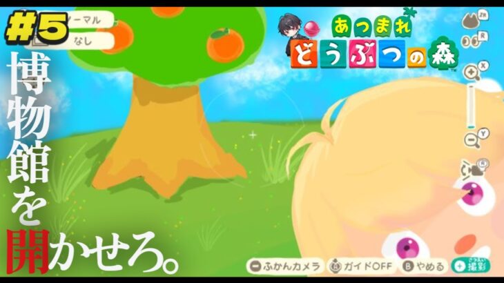 【あつ森】レアな生き物で博物館を開きたい。 あつまれどうぶつの森　雑談枠　初見歓迎【新人Vtuber 飴ノしずく】