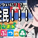 【あつ森】今日住民来るはず！！！【個人Vtuber/73】#8