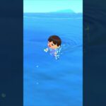 What is one of the best ways to make money in Animal Crossing New Horizons? #animalcrossing