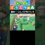 【あつ森】進め！ジムノエラビリンス #acnh #animalcrossing #あつ森 #あつまれどうぶつの森 #あつ森vlog