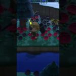 【あつ森】謎！？なにが川に飛び込んだのか！？【あつまれどうぶつの森】 #あつ森 #animalcrossing #あつまれどうぶつの森