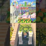あなたの視点が、写真を特別にする。#animalcrossing　#あつ森　#どうぶつの森