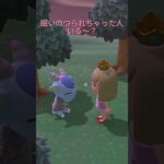 【あつ森】眠くなった人いる～？(*‘ω‘ *)#animalcrossing #あつ森