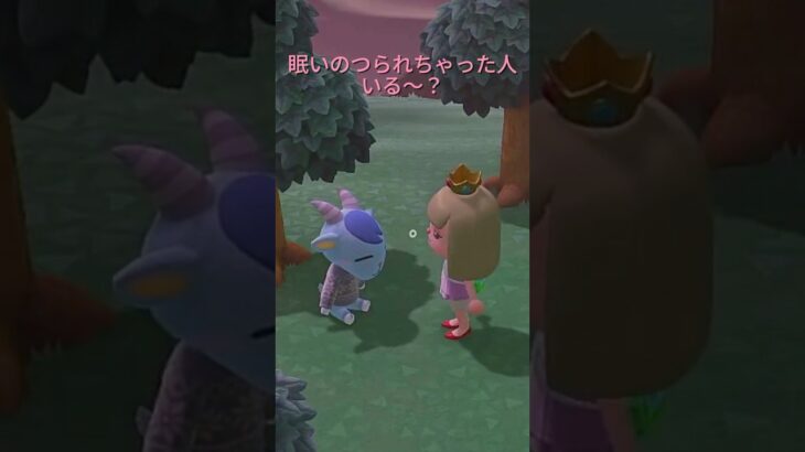 【あつ森】眠くなった人いる～？(*‘ω‘ *)#animalcrossing #あつ森