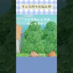 【あつ森】そんな所でお悩み中  #あつ森 #あつまれどうぶつの森 #animalcrossing #acnh #shorts