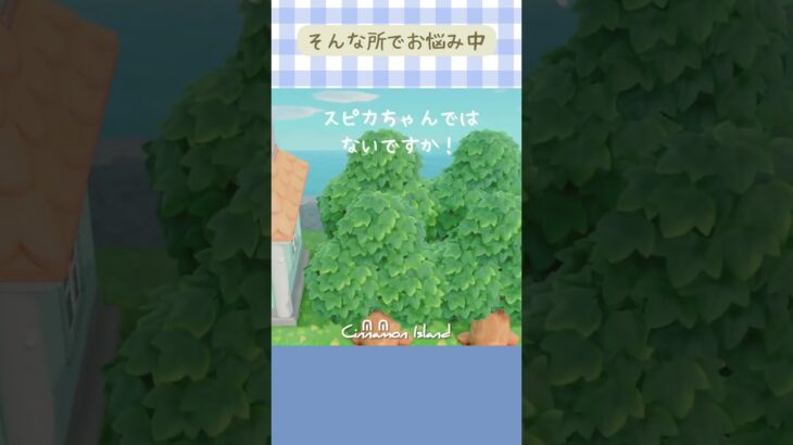 【あつ森】そんな所でお悩み中  #あつ森 #あつまれどうぶつの森 #animalcrossing #acnh #shorts