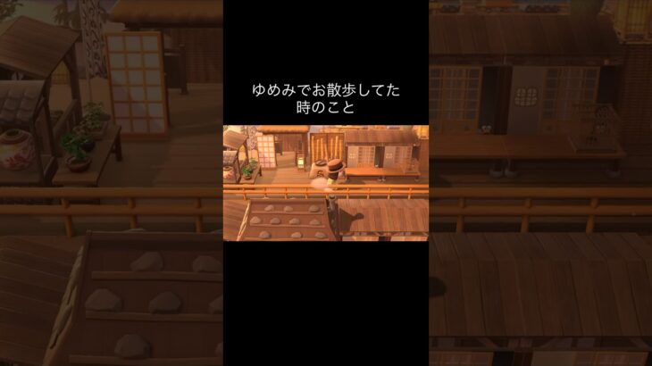 そっ閉じ姐さん👩 #あつ森 #あつまれどうぶつの森 #あつ森好きな人と繋がりたい #animalcrossing #ゆめみ #おかめなっ島 #acnh #shorts #comedy #trip