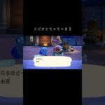 #あつ森 #あつまれどうぶつの森 #スピカ#ちゃちゃまる#動物森友會 #動森 #animalcrossing #animalcrossingnewhorizons #茶茶丸#穗星