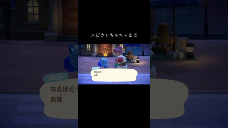 #あつ森 #あつまれどうぶつの森 #スピカ#ちゃちゃまる#動物森友會 #動森 #animalcrossing #animalcrossingnewhorizons #茶茶丸#穗星