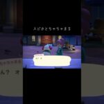 #あつ森 #あつまれどうぶつの森 #スピカ#ちゃちゃまる#animalcrossing #animalcrossingnewhorizons #動物森友會 #動森#穗星 #茶茶丸