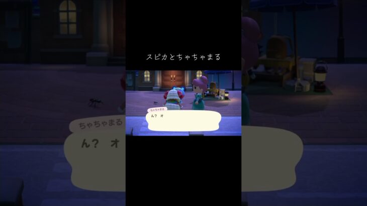 #あつ森 #あつまれどうぶつの森 #スピカ#ちゃちゃまる#animalcrossing #animalcrossingnewhorizons #動物森友會 #動森#穗星 #茶茶丸