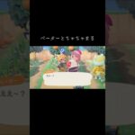 #ペーター#ちゃちゃまる#あつ森 #あつまれどうぶつの森 #animalcrossing #animalcrossingnewhorizons #動物森友會 #動森 #彼得#茶茶丸