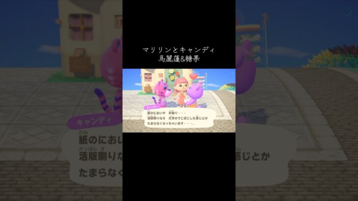 #マリリン#キャンディ#あつ森 #あつまれどうぶつの森 #馬麗蓮#糖果#動森#動物森友會 #animalcrossing #animalcrossingnewhorizons