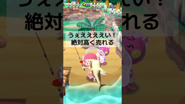 【ポケ森】久しぶりのサメキタ！と思ったら…💸 #animalcrossing#あつ森#acnh#どうぶつの森ポケットキャンプ#どうぶつの森ポケットキャンプコンプリート#ポケ森#ポケ森コンプリート