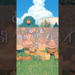 隙間クリエイト　にんじん畑🥕#animalcrossingdesigns #animalcrossingnewhorizons #あつ森 #あつまれどうぶつの森 #animalcrossing