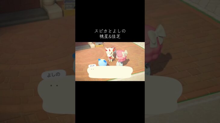 #あつ森 #あつまれどうぶつの森 #スピカ#よしの#動物森友會 #動森#animalcrossingnewhorizons #animalcrossing #穗星#佳芝