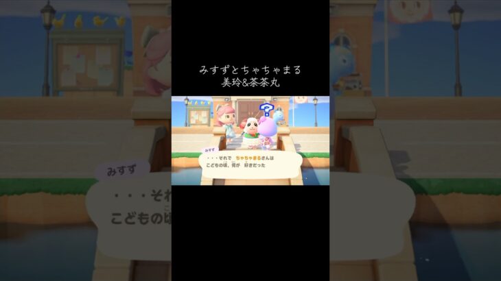 #みすず#ちゃちゃまる #あつ森 #あつまれどうぶつの森 #animalcrossingnewhorizons #animalcrossing #美玲#茶茶丸#動森 #動物森友會