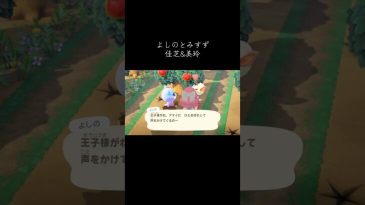 #よしの#みすず#あつ森 #あつまれどうぶつの森 #animalcrossingnewhorizons #animalcrossing #佳芝 #美玲