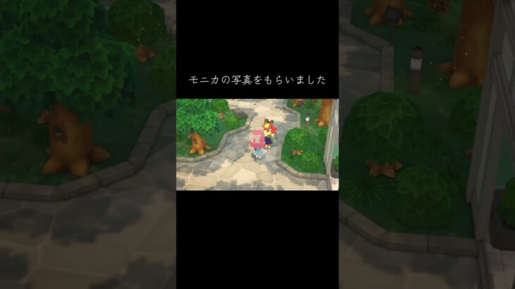 #モニカ#あつ森 #あつまれどうぶつの森 #animalcrossingnewhorizons #animalcrossing #動物森友會 #動森#莫妮卡