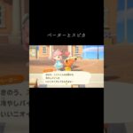 #スピカ#ペーター#あつ森 #あつまれどうぶつの森 #animalcrossingnewhorizons #animalcrossing #動森 #動物森友會 #彼得#穗星