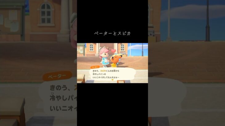 #スピカ#ペーター#あつ森 #あつまれどうぶつの森 #animalcrossingnewhorizons #animalcrossing #動森 #動物森友會 #彼得#穗星