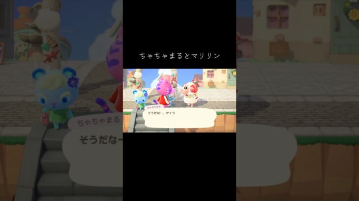 #ちゃちゃまる #マリリン#あつ森 #あつまれどうぶつの森 #動物森友會 #動森 #animalcrossingnewhorizons #animalcrossing #馬麗蓮#茶茶丸