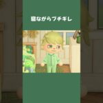 【あつ森】夢の中でブチギレるさんぱち #daily #日常  #あつ森 #あつまれどうぶつの森 #shorts