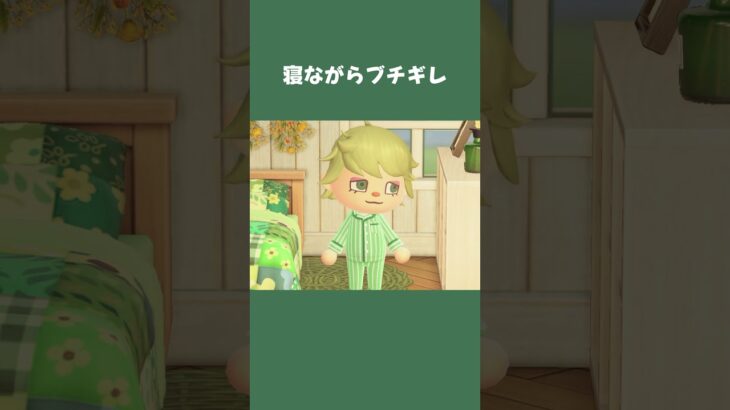 【あつ森】夢の中でブチギレるさんぱち #daily #日常  #あつ森 #あつまれどうぶつの森 #shorts