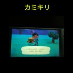#short #あつ森 #熱盛 #釣り #虫取り #ゲーム 釣りガチャ&虫ガチャ