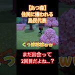 【あつ森】住民に嫌われた瞬間…😭 #ゲーム実況 #shorts #あつ森