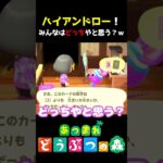 ハイアンドロー！みんなはどっちだと思う？　 #あつ森 #shorts #けいとかんな