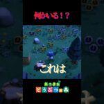 【あつ森】何かいる！？ #shorts #あつ森