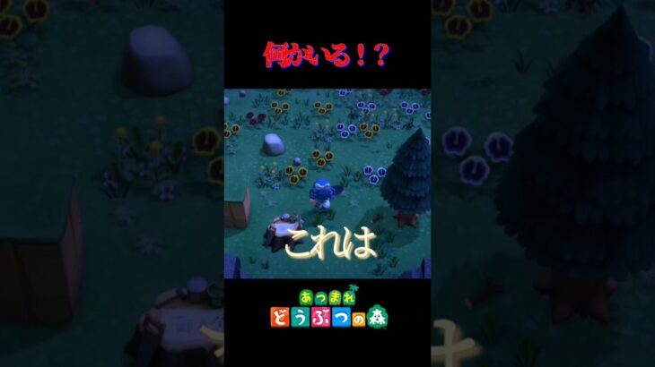 【あつ森】何かいる！？ #shorts #あつ森