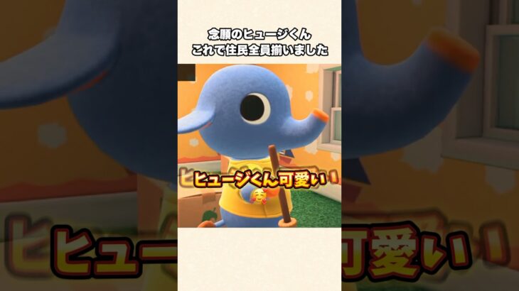 【あつ森】離島ガチャラスト住民！念願のヒュージにやっと会えた！【あつまれどうぶつの森】#shorts #あつ森