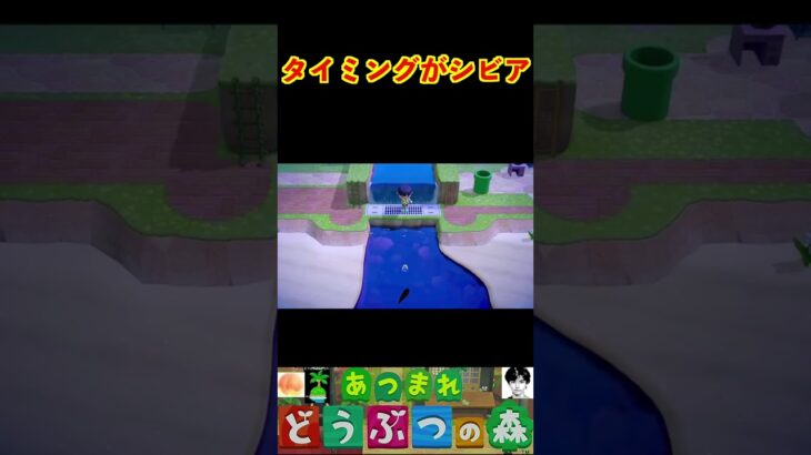 タイミングがシビア #あつまれどうぶつの森 #shorts #あつ森