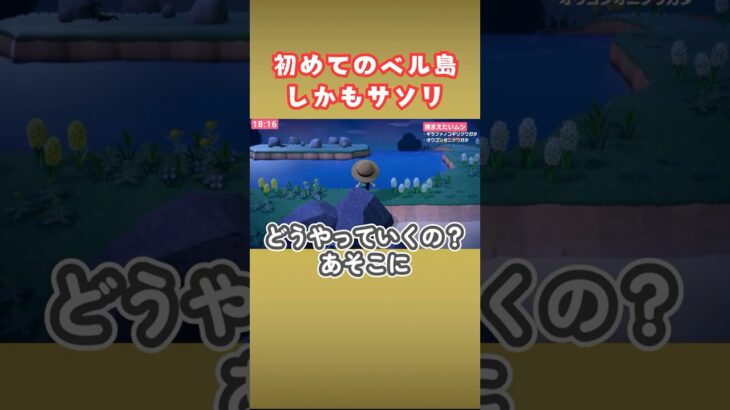 初めてのベル島でパニック【あつ森】#shorts #あつ森