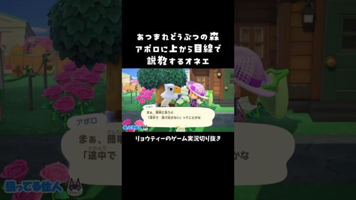 【ゲーム実況】あつ森でアポロに説教するオネエ #shorts #おすすめ #どうぶつの森