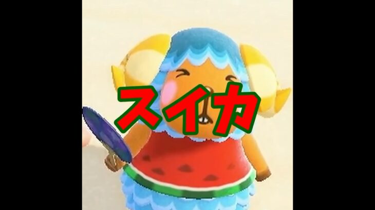 【あつ森】冬でも暖かく暮らしたいスイカさんが登場！！！ #あつ森 #shorts  #あつまれどうぶつの森
