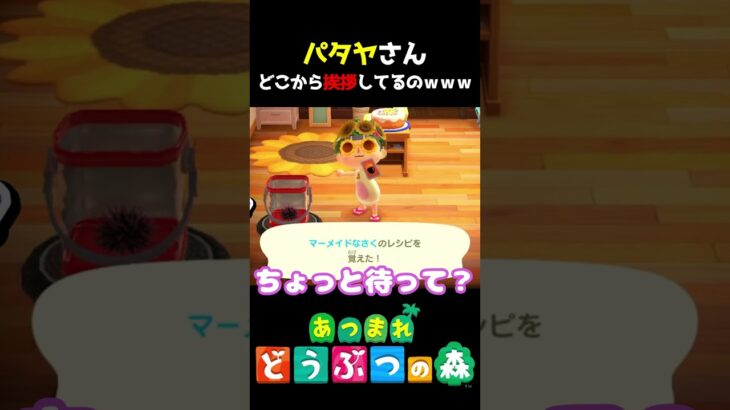 パタヤさんどこから挨拶してるのｗｗｗ　#あつ森  #shorts #けいとかんな