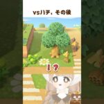 ミントちゃんはくれました 🐿 #shorts #あつ森